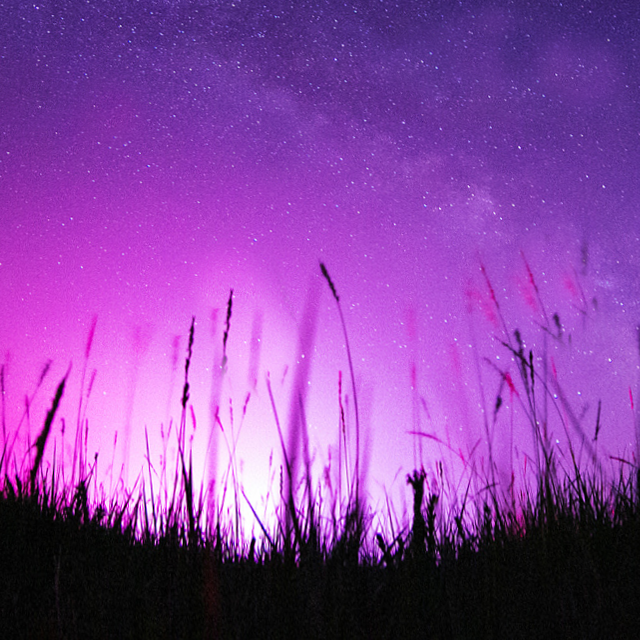 夜空中最亮的星（全指法版）