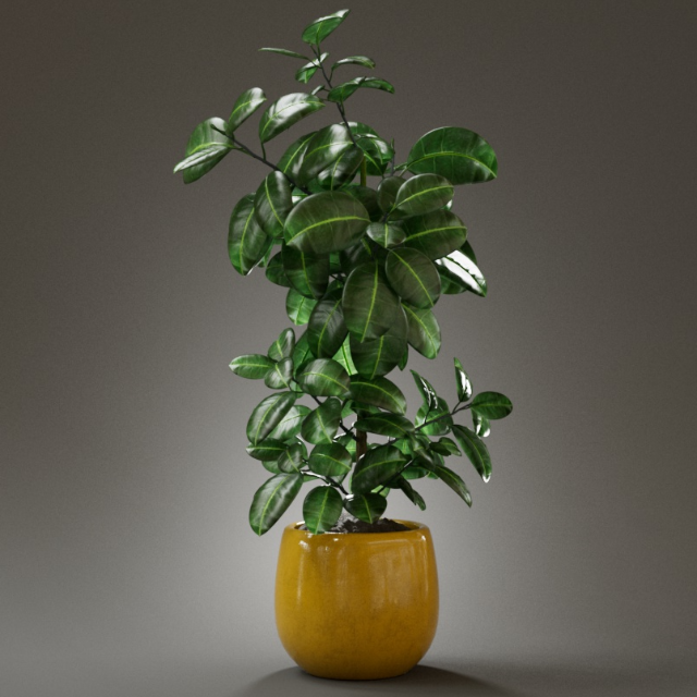 《練習(xí)》鋼琴彈唱譜