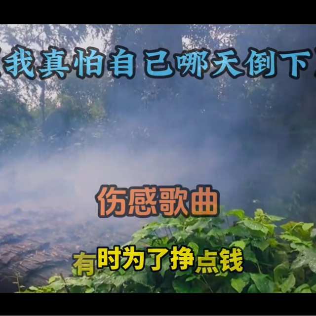 我真怕自己哪天倒下--網絡歌曲