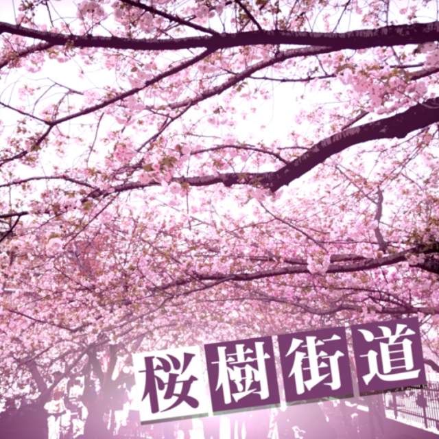 桜樹街道（簡易版）