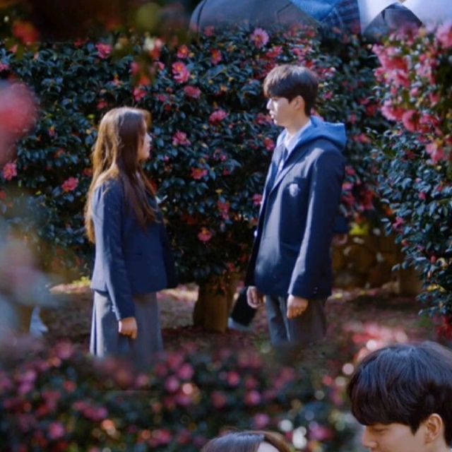 《卡農in Love》原版