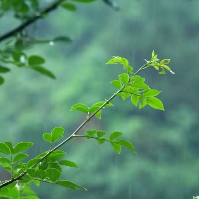 By the Rain雨畔（鋼琴曲）