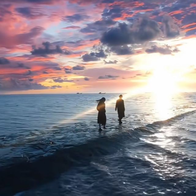 Celeste（大衛希肯-David Hicken 完美還原版超好聽）