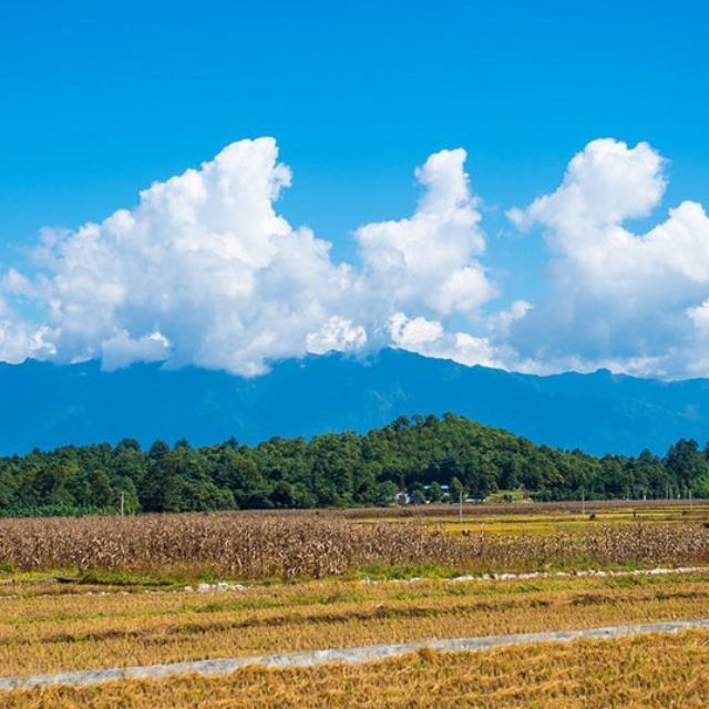愛我的人和我愛的人