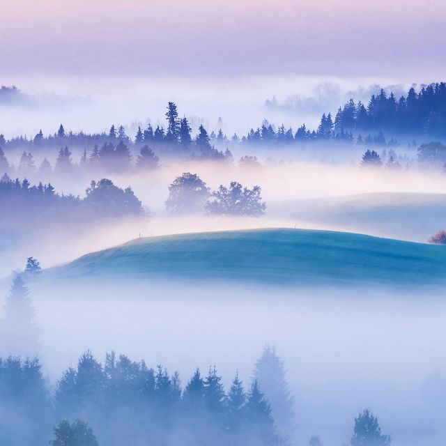 茍活(周文凱校園合唱版)