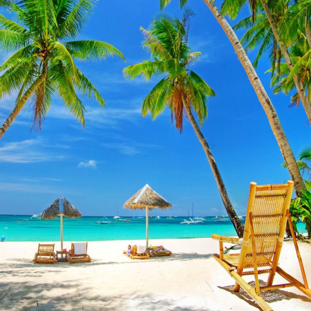 Hawaiian Shores（夏威夷海岸）