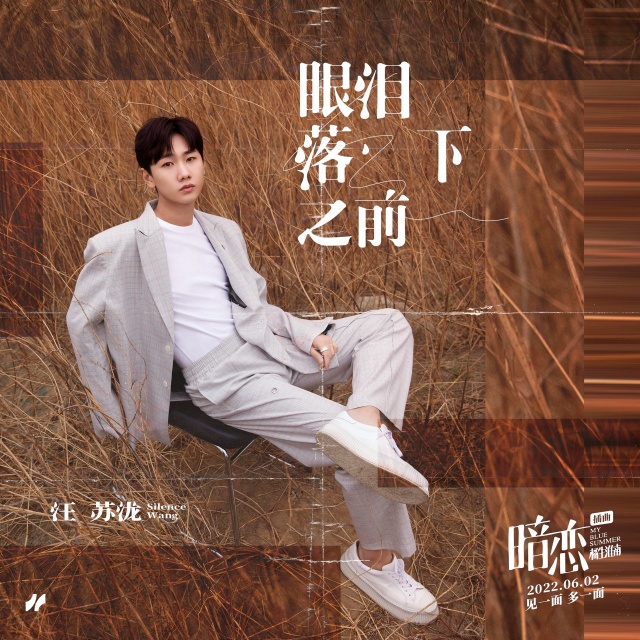 眼淚落下之前（電影《暗戀·橘生淮南》的插曲）原調