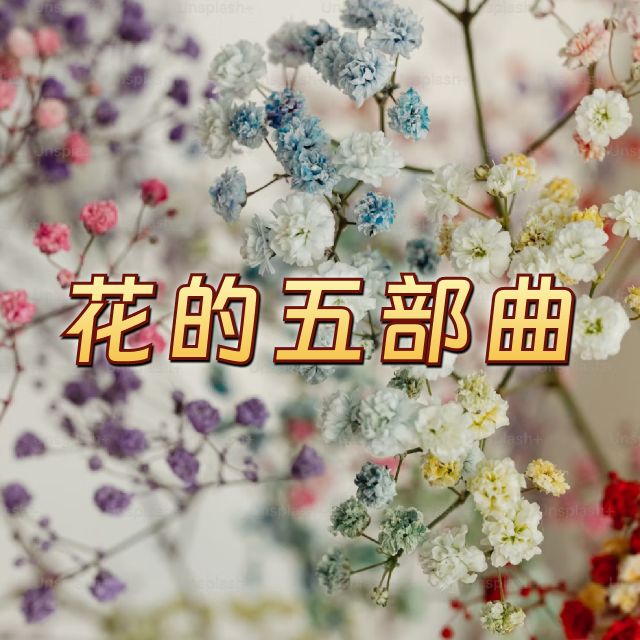 花的五部曲（絲滑串燒）