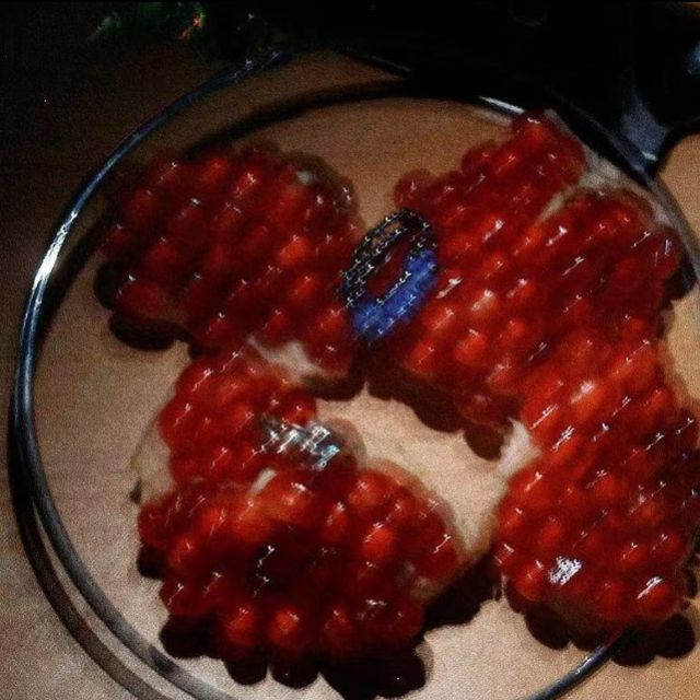 療愈神曲 |《漿果》TINY7 （原調+指法）