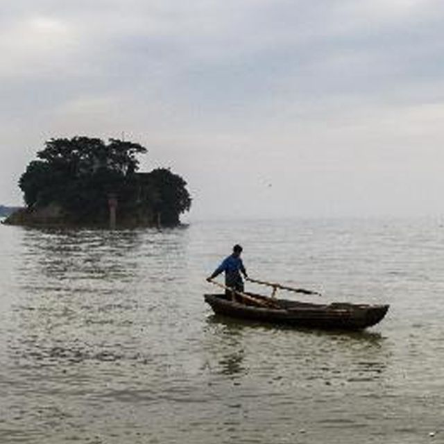 劃舳板（甜蜜蜜）