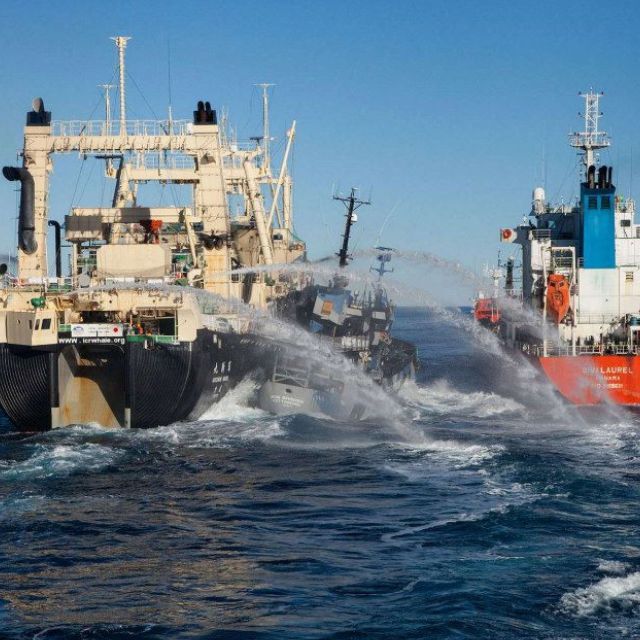 Rolling Down to Old Maui（捕鯨船隊民歌）（鋼琴版）