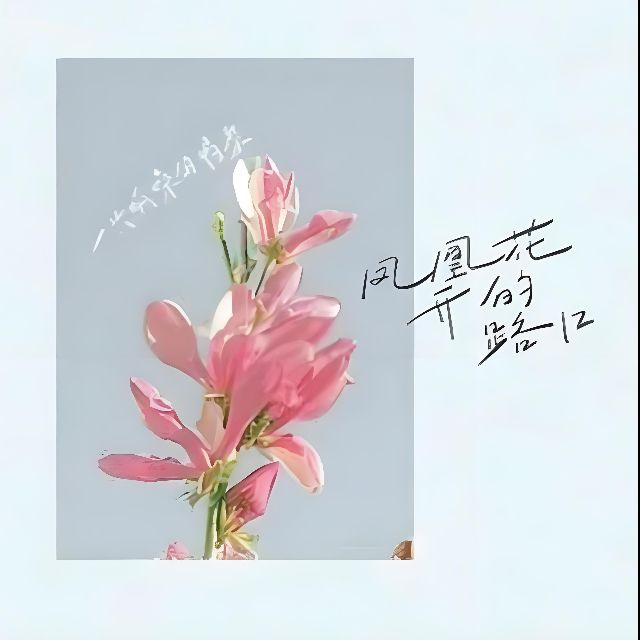 鳳凰花開的路口（C調簡單版帶歌詞適合拜厄后期水平）