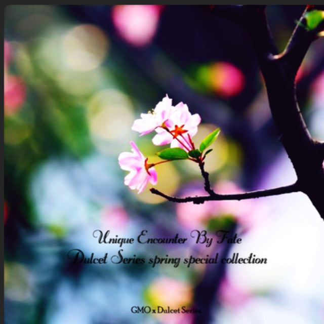 Tassel（簡單C調版）