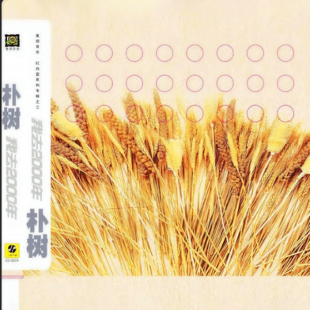 New boy 樸樹(shù)