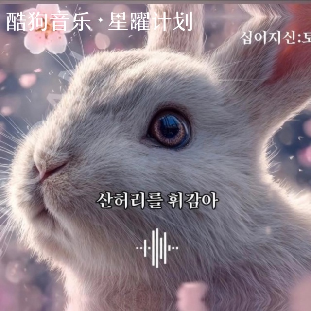 多情的生肖兔（兔子來了）