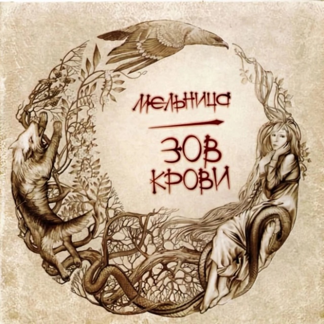 Белая кошка（小白貓）