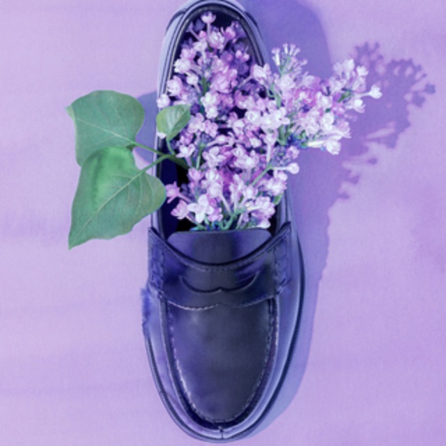 ライラック 《失憶投捕》