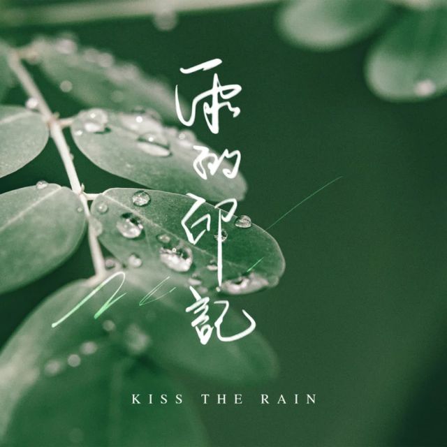雨的印記（Kiss the Rain）