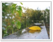 KISS THE RAIN（適合一般人演奏版）