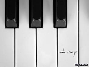 【卡農】經典版[超好聽]