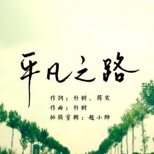 平凡之路（彈唱伴奏版）