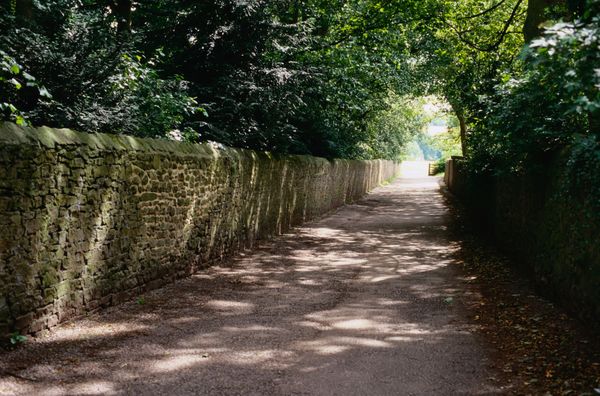 The boulevard in summer