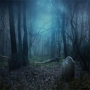 Scarsong（緊張懸疑背景音樂(lè)）